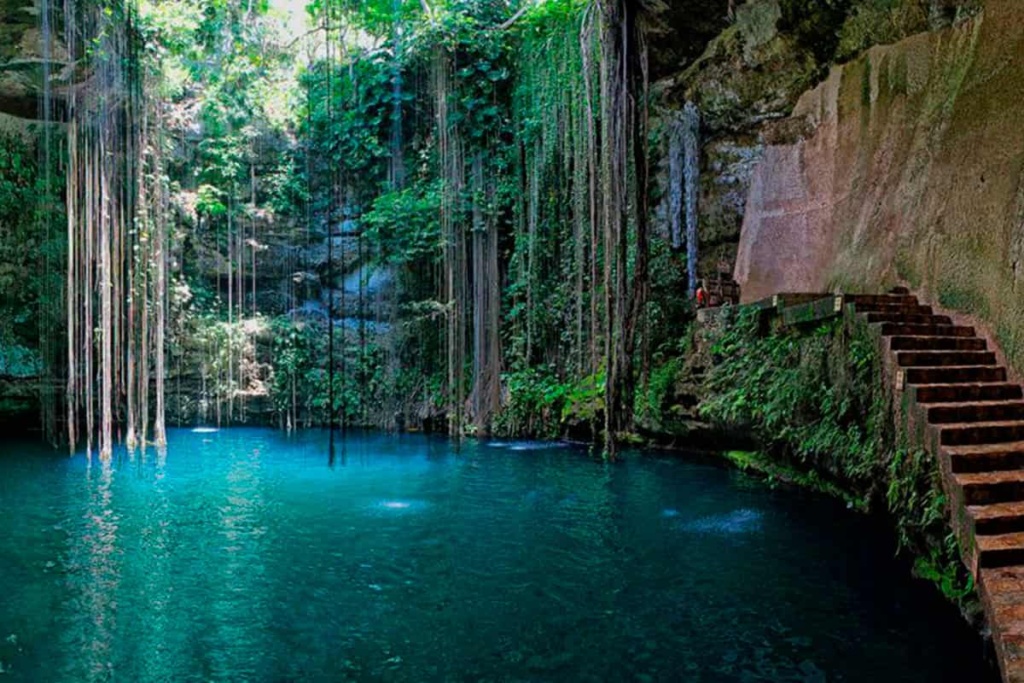 dip in the fresh water cenotes situated all around Cancun