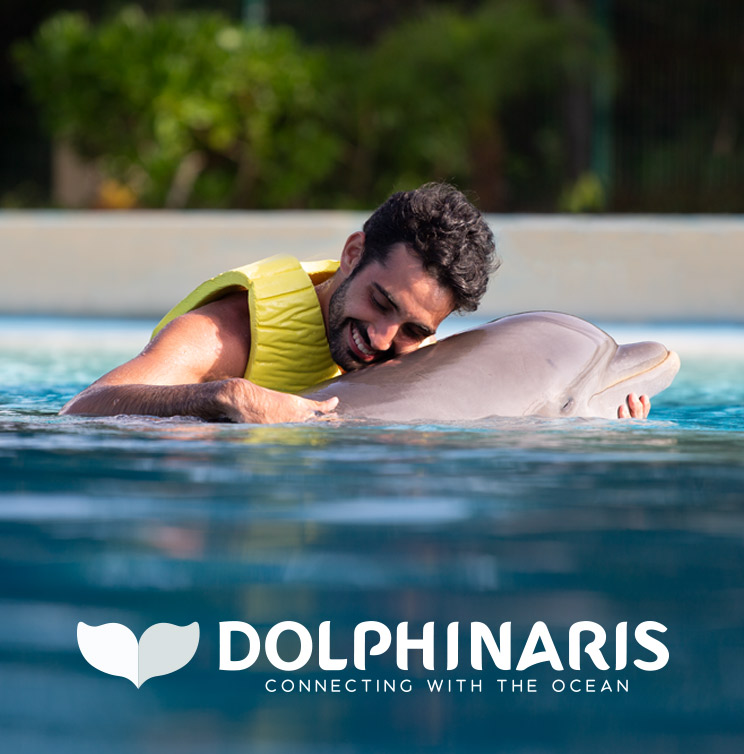 dolphinaris-ventura