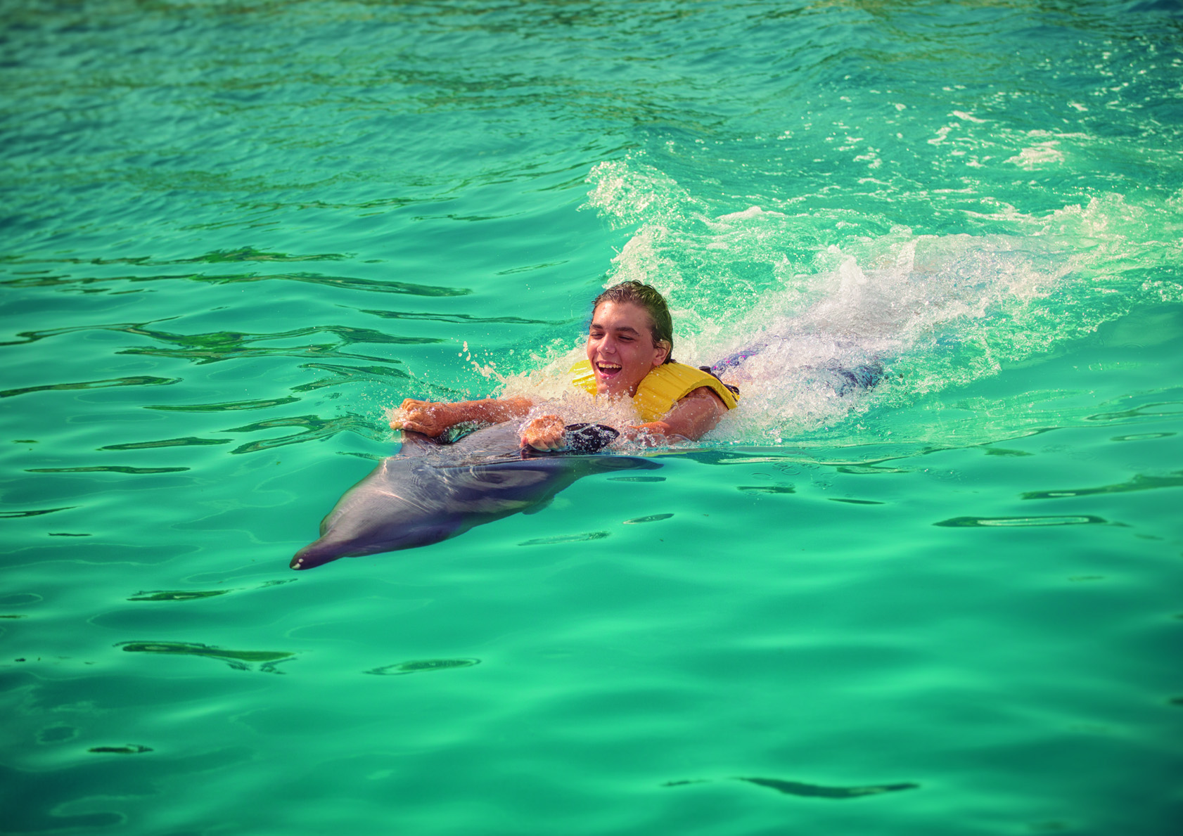 nadar-con-delfines-en-cancun
