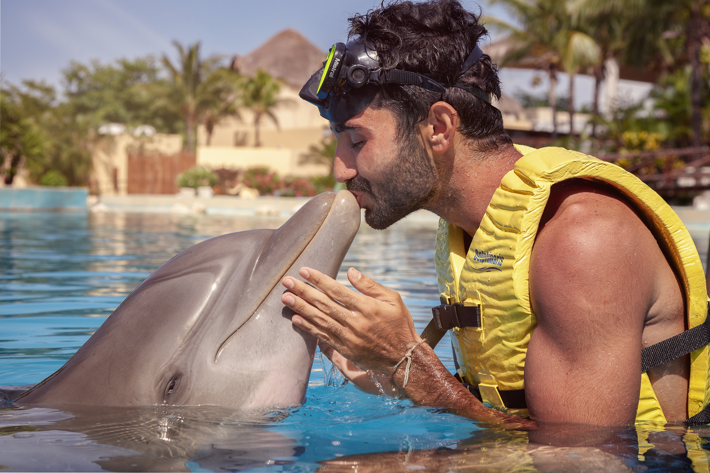 nadar-con-delfines-en-cancun