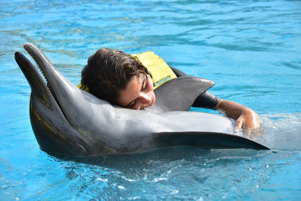 nadar-con-delfines-en-cancun-ventura-park