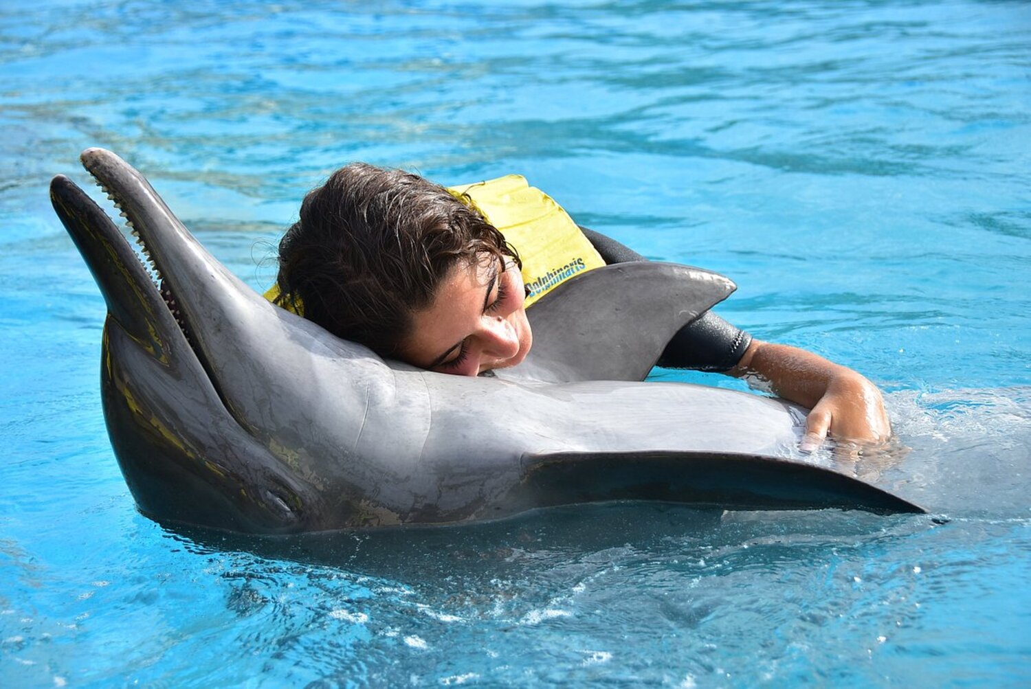 ¿Cuánto cuesta nadar con Delfines en Cancún Ventura Park?