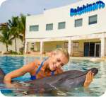 YsRdNgqW swim with dolphin dolphinaris