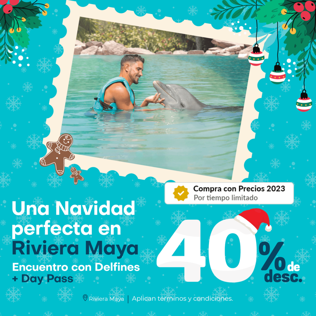 promociones navideñas para nadar con delfines en dolphinaris