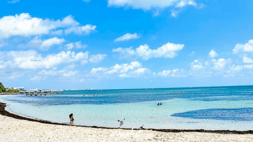 pearl beach in cancun hotel zone