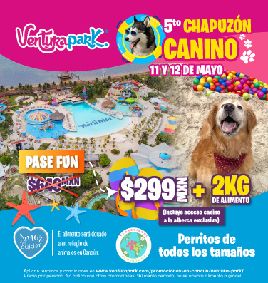 venturapark-5to-chapuzon-canino-mobile-esp