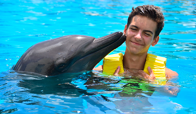 kid swimming with dolphin in cancun