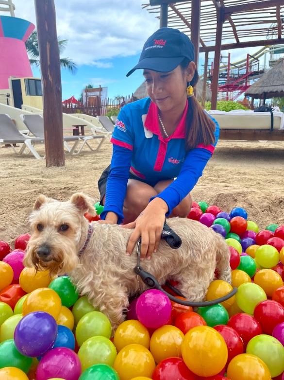 parque de perros en cancun