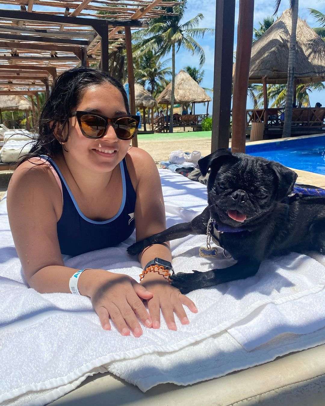 Descubre Los Mejores Lugares Pet Friendly en Cancún