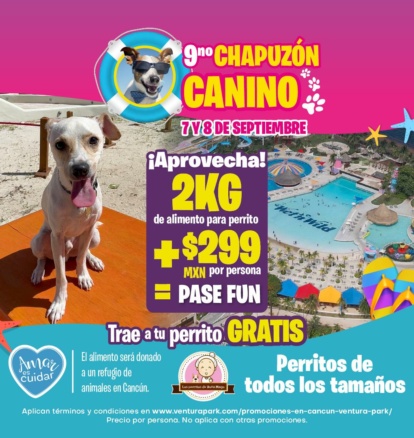 alberca para perros en cancun