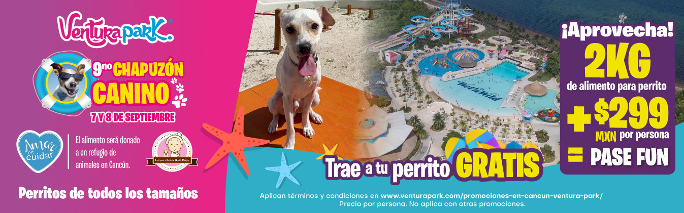 venturapark-9no-chapuzon-canino-septiembre-desktop