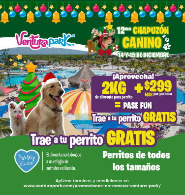 venturapark-12mo-chapuzon-canino-mobile